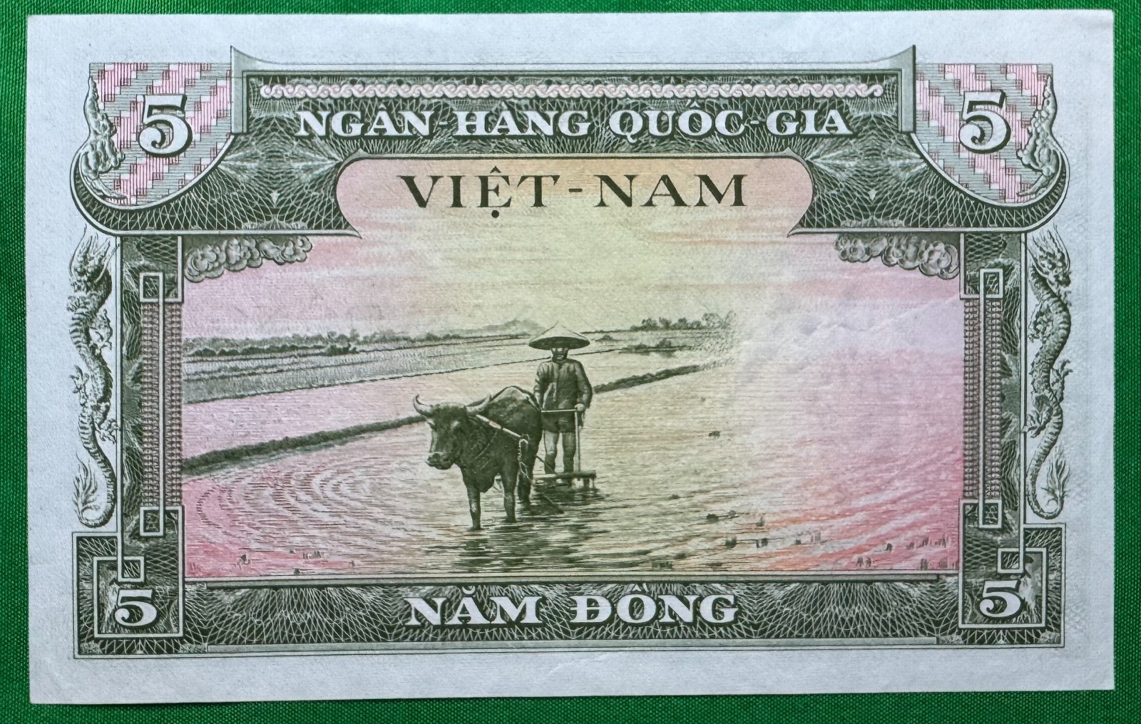 VIET NAM 5 DONG BANKNOTE 1955 CURRENCY PAPER MONEY X4.583037