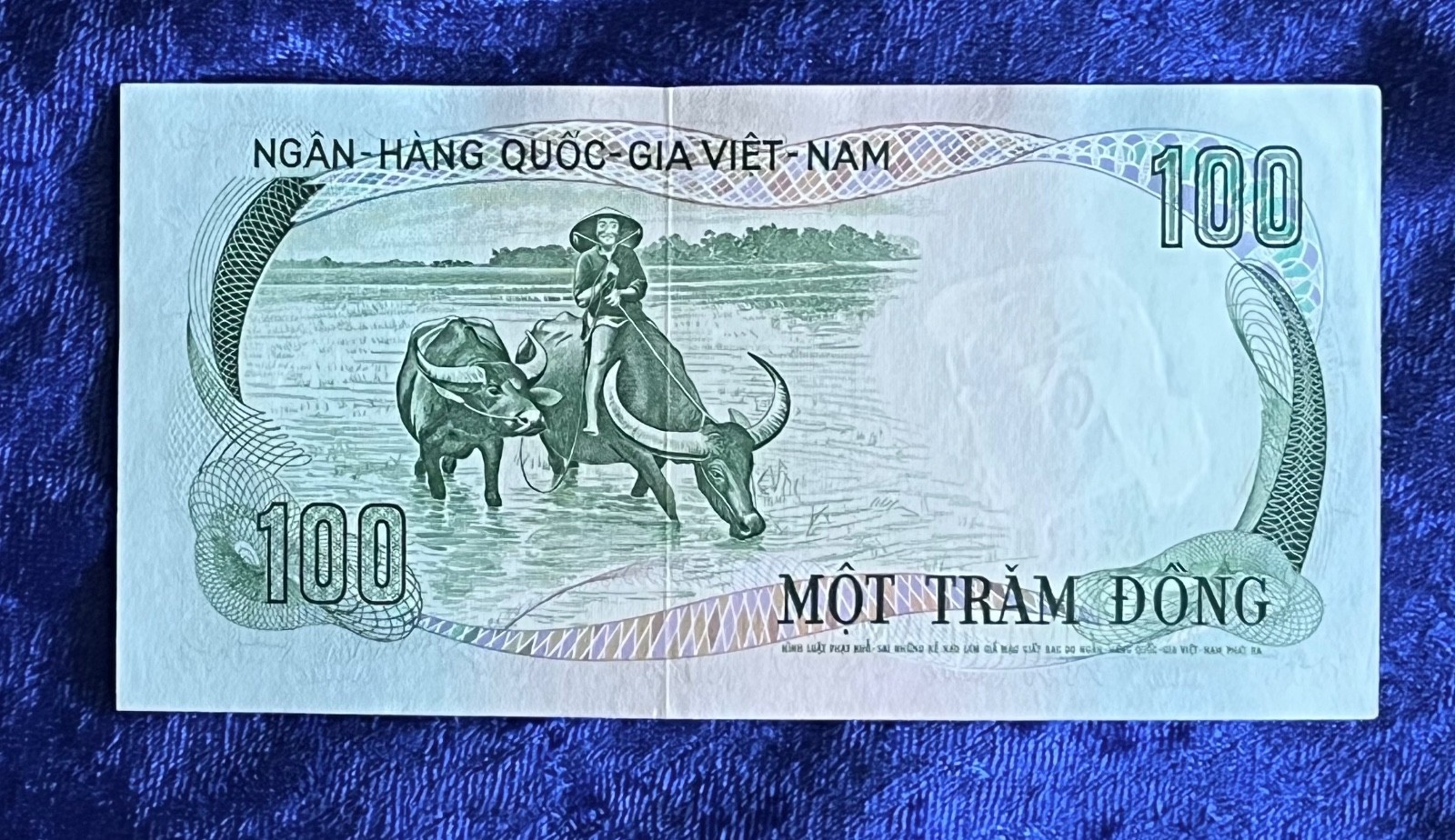 UNCIRCULATED South Vietnam 100 Dong 1972 Banknote P# 31a Free Shipping