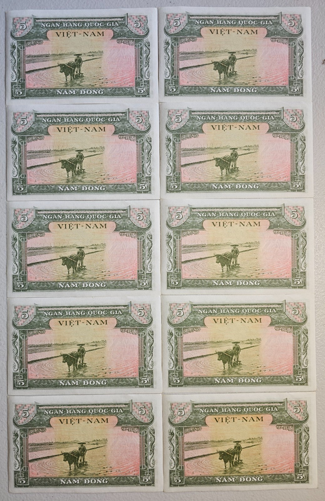 South Vietnam 5 Dong 1956, Lot of 10, AU-Unc