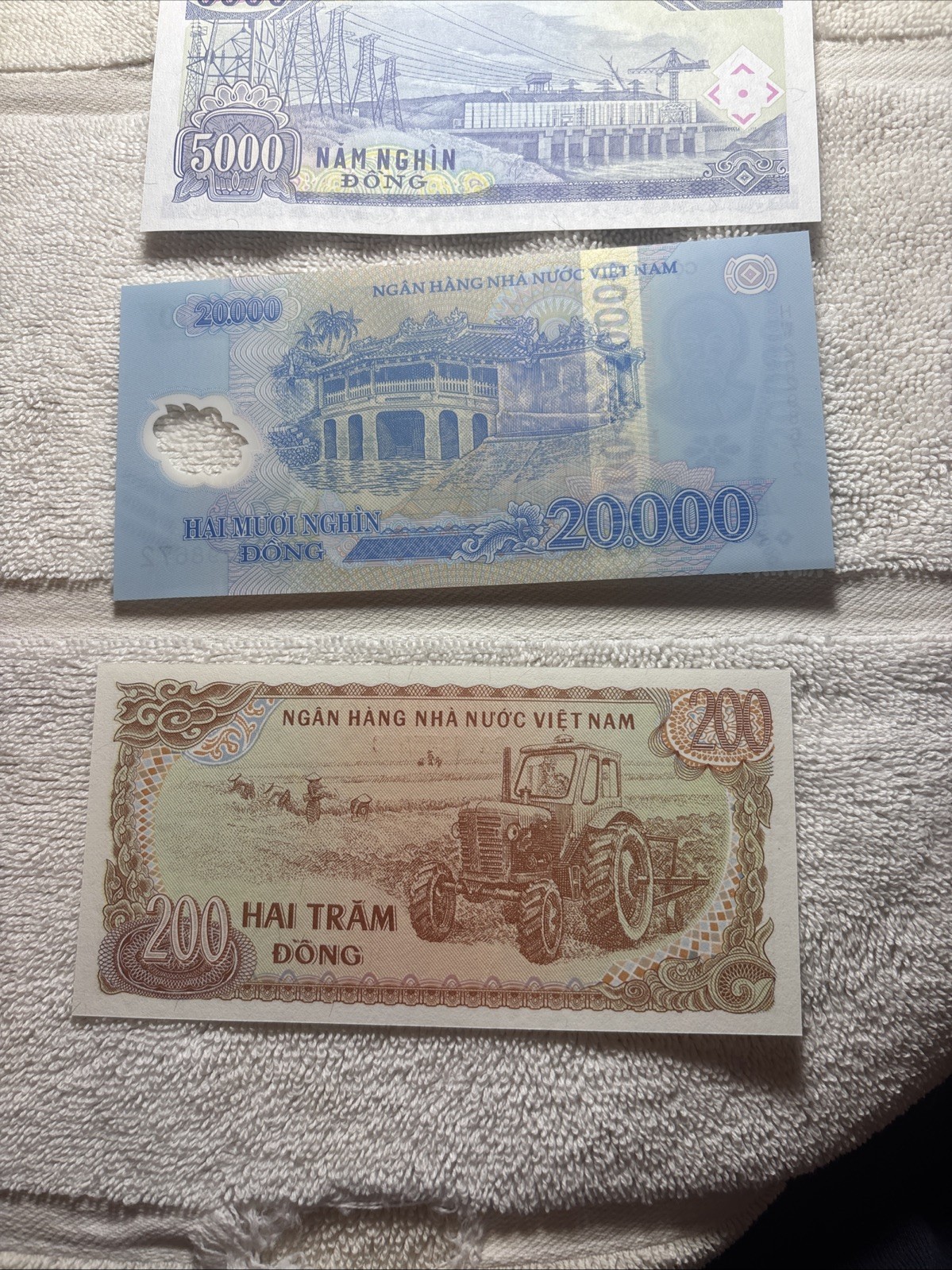 Seven (7) Notes Vietnam Dong – Vietnamese note foreign money Uncirculated