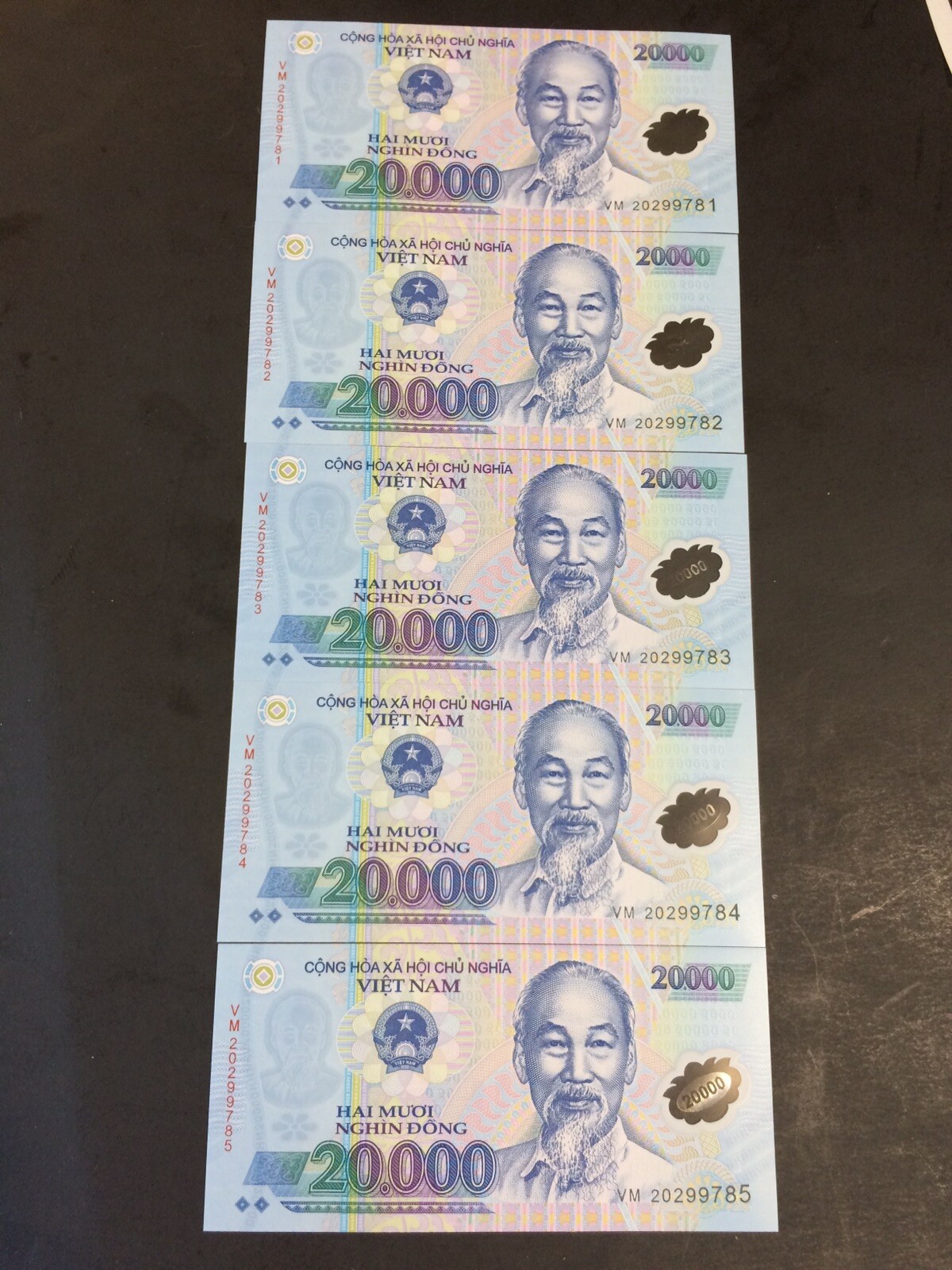 Vietnamese Dong (20,000 X 5 PCS) UNC Polymer Banknotes