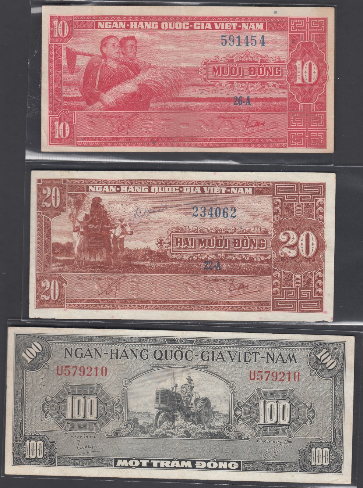 1955-62 South Vietnam Republic Group of 3 Bank Notes VF/AUNC, P#5,6,8.