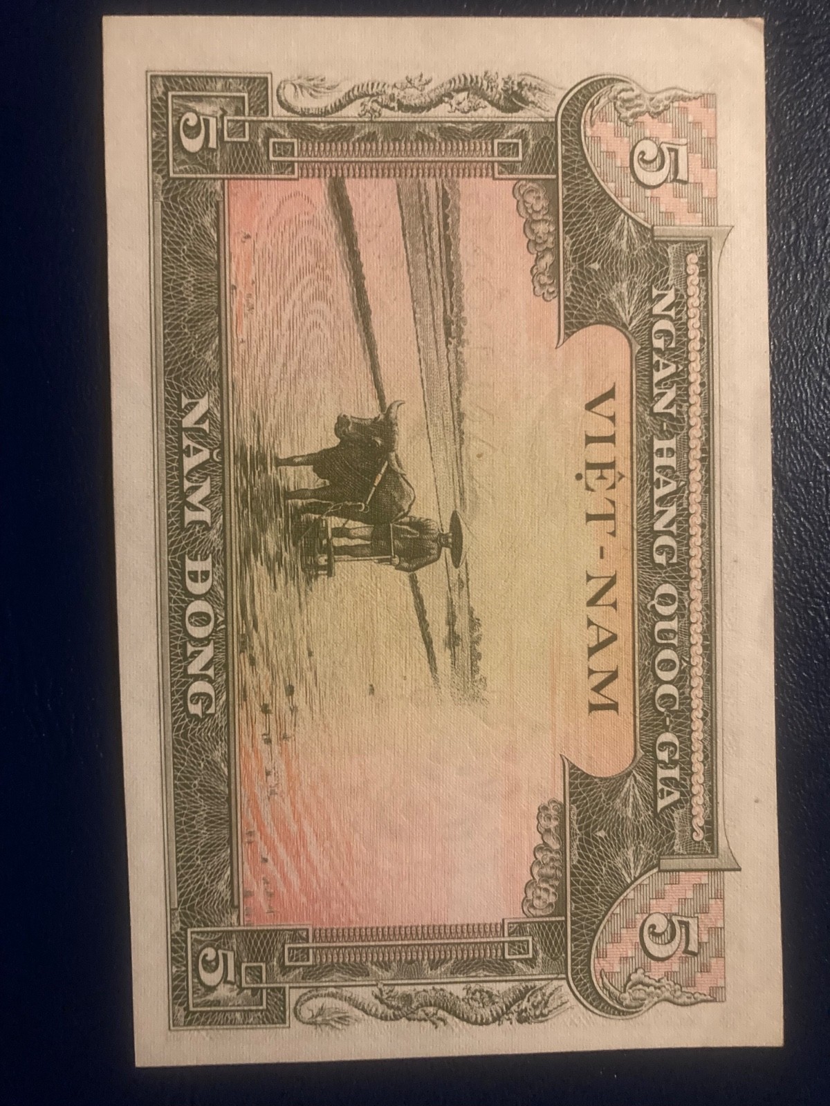 UNC 1955 Viet-Nam 5 Nam Dong Bank Note Currency