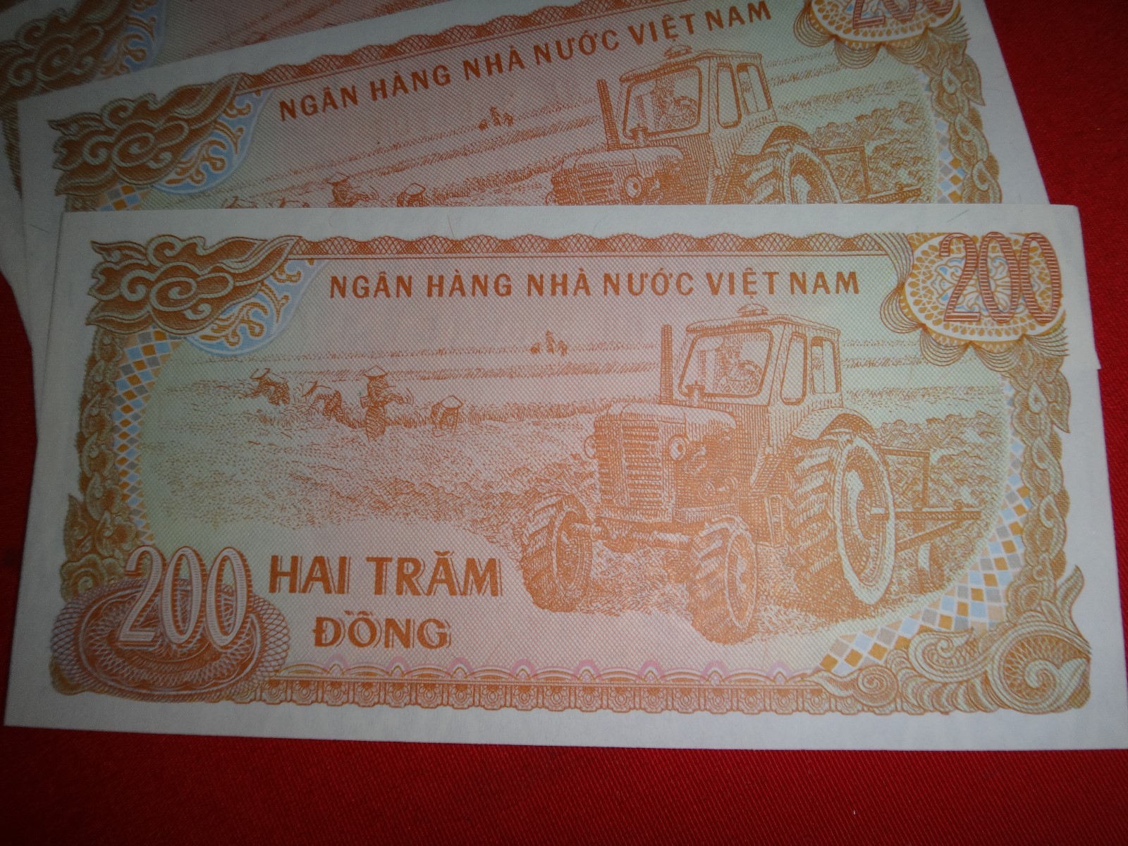 5 Socialist Republic Of Vietnam 200 PIASTERS Year 1987 Banknotes *Uncirculated*