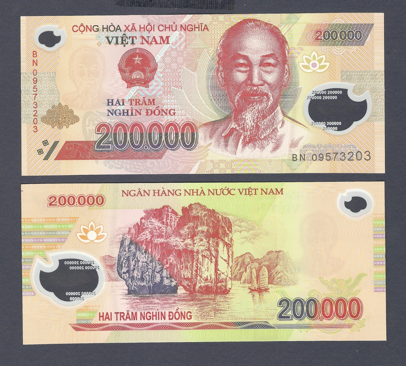 VIETNAM – P123c – 50000 Dong – POLYMER – 2009 – Perfect UNC