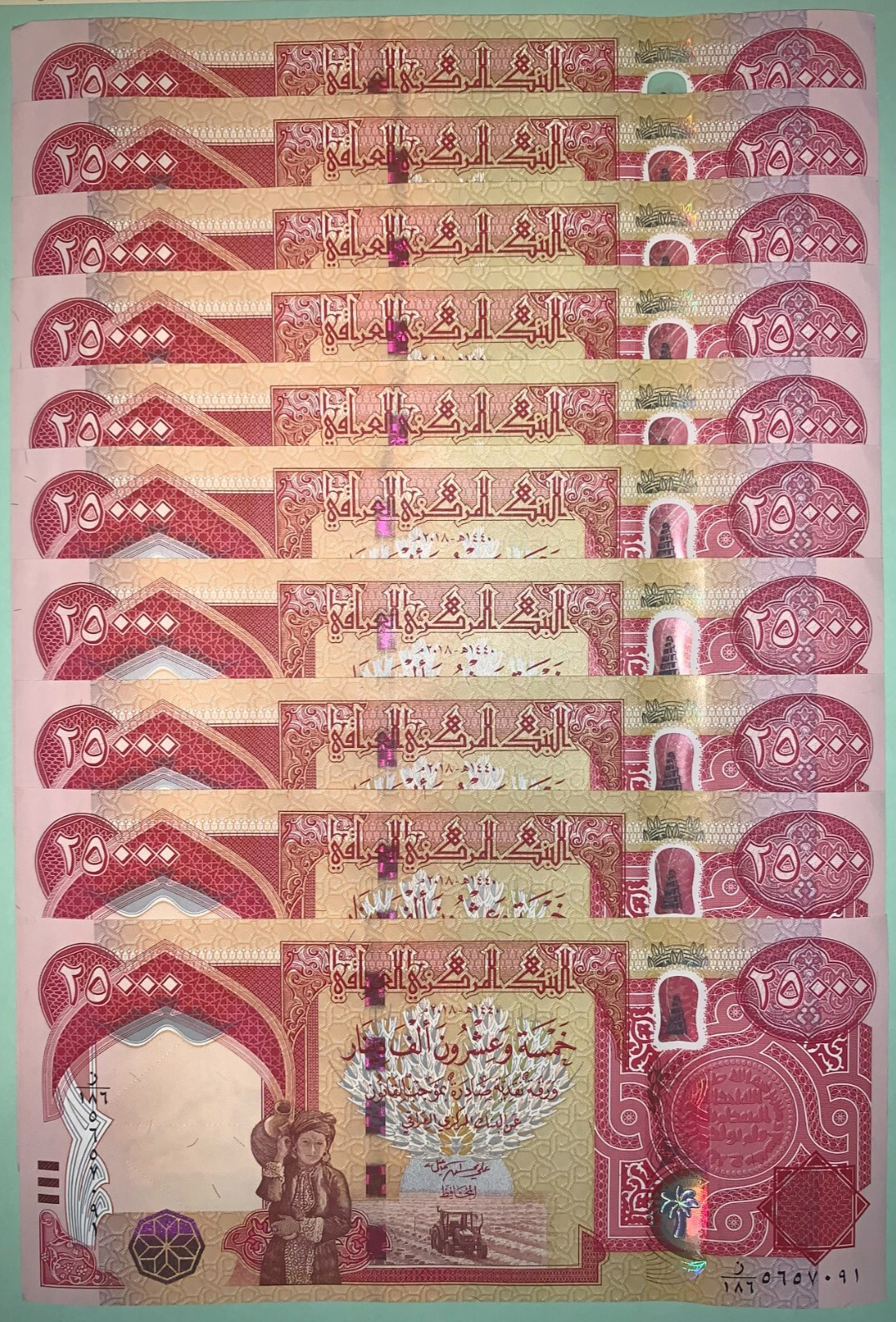 300,000 New Iraq Dinar – (12) 25000 Banknotes of Iraq Currency NEW IQD Currency