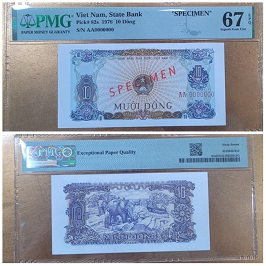 1976 Vietnam 10 Dong Specimen Banknote PMG 67