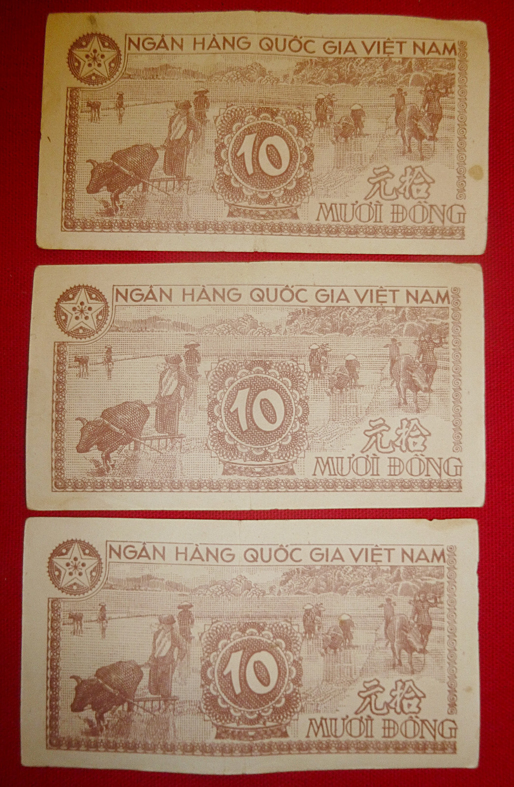 3 x CONSECUTIVE – 1951 NORTH VIETNAM – Viet Minh – Bank Note – 10 DONG – in safe