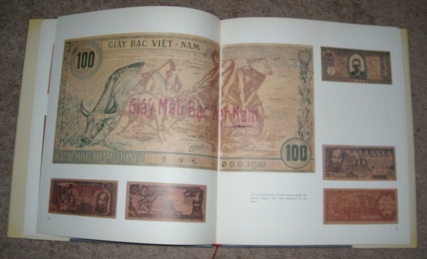 VIETNAMESE CURRENCY: STATE BANK OF VIETNAM – RARE BOOK – ONLY 3000 PRINTED!