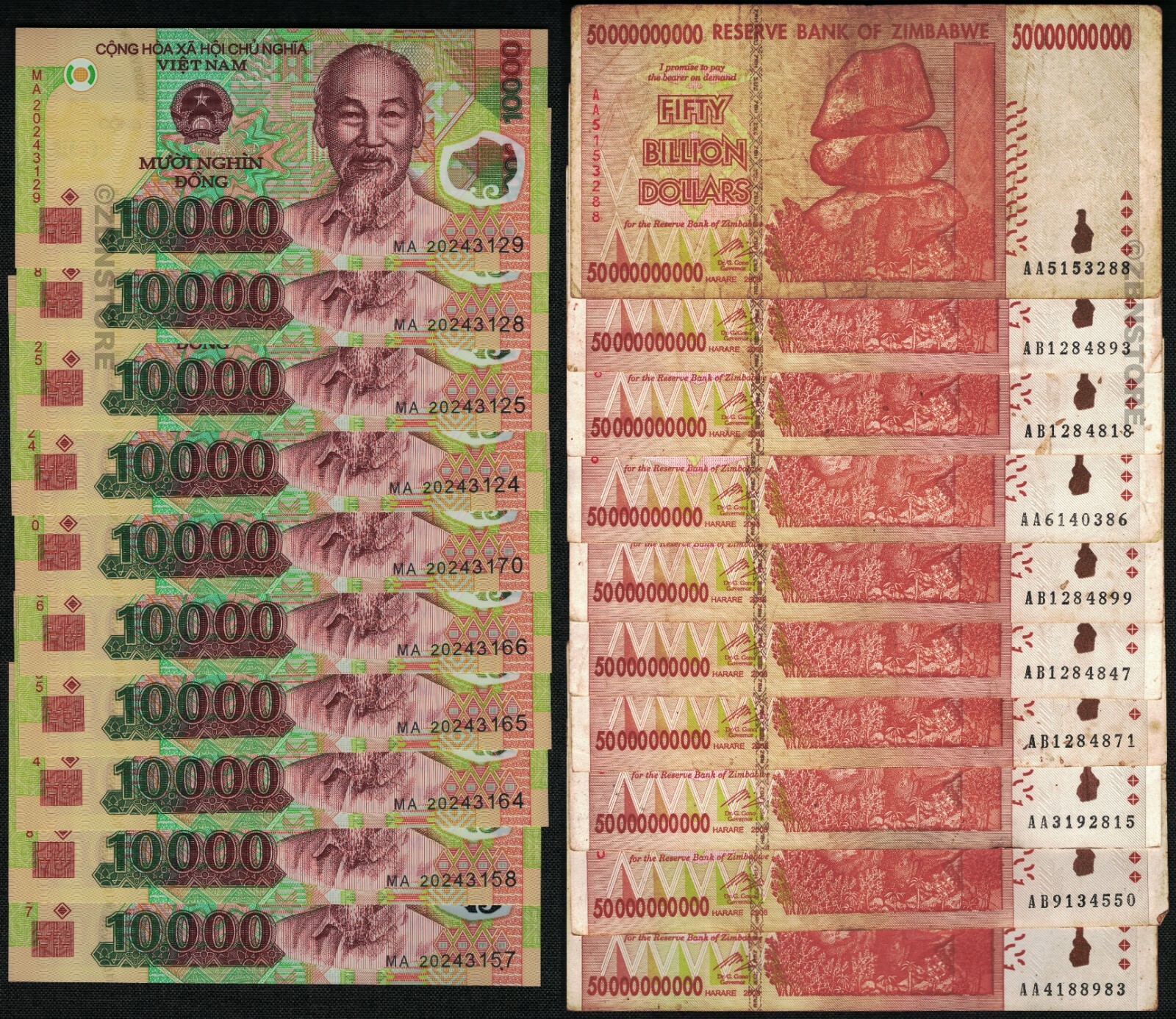 10 x 50 Billion Zimbabwe Dollars + 10 x 10,000 Vietnam Dong Banknotes w/ COA