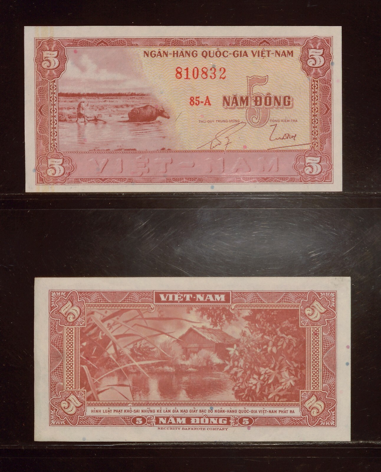 1955 South Vietnam 5 Dong | CU | Banknotes