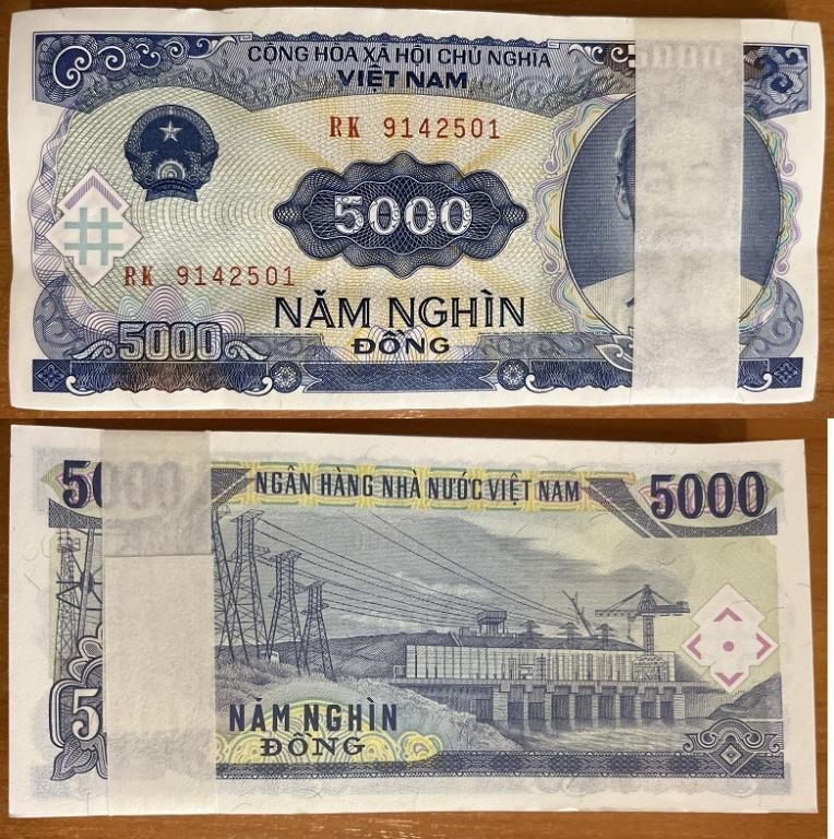 Vietnam – 100 pcs x 5000 Dong 1991 UNC P. 108 bundle Lemberg-Zp