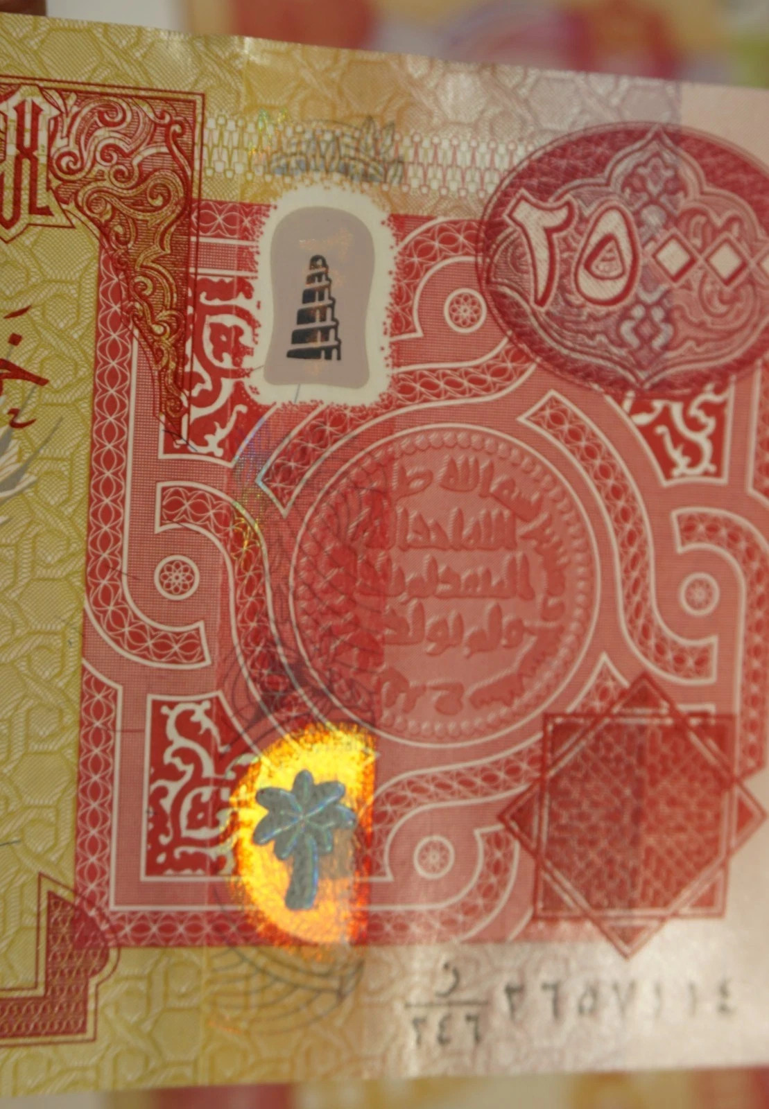 300,000 New Iraq Dinar – (12) 25000 Banknotes of Iraq Currency NEW IQD Currency