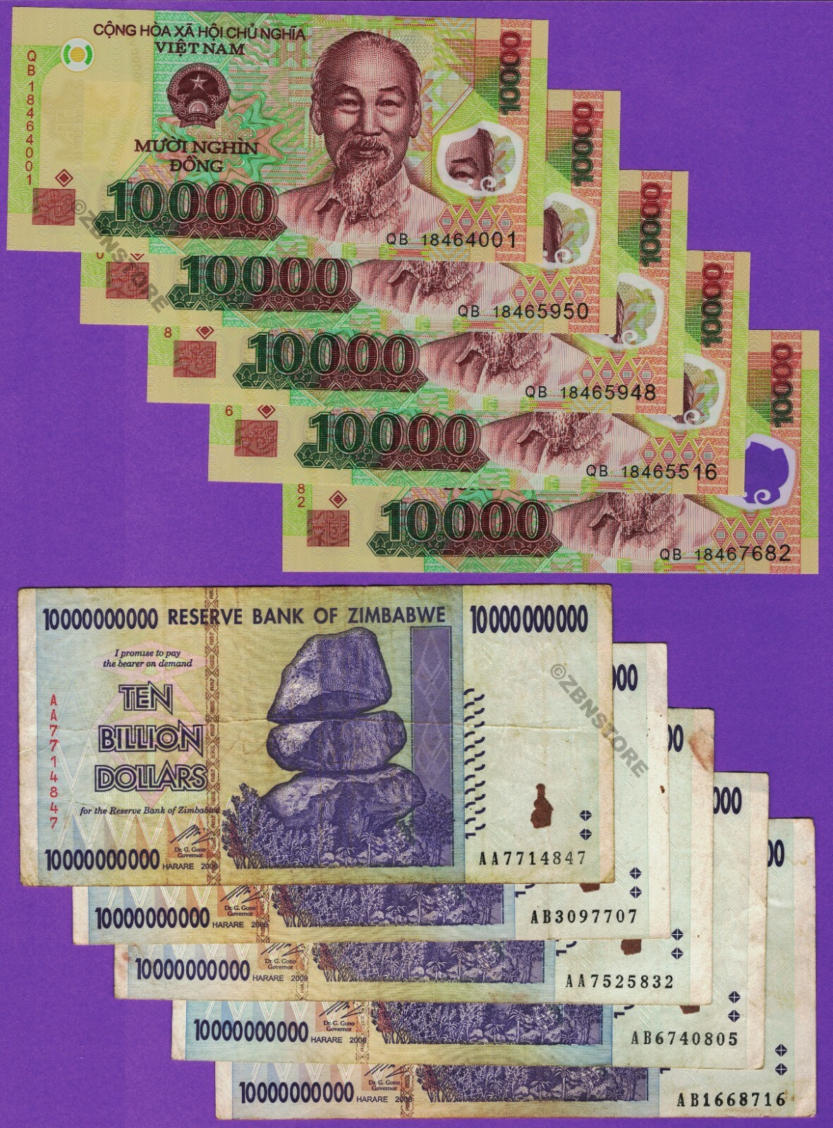 5 x 10 Billion Dollars Zimbabwe + 5 x 10,000 Vietnam Dong VND Banknotes + COA