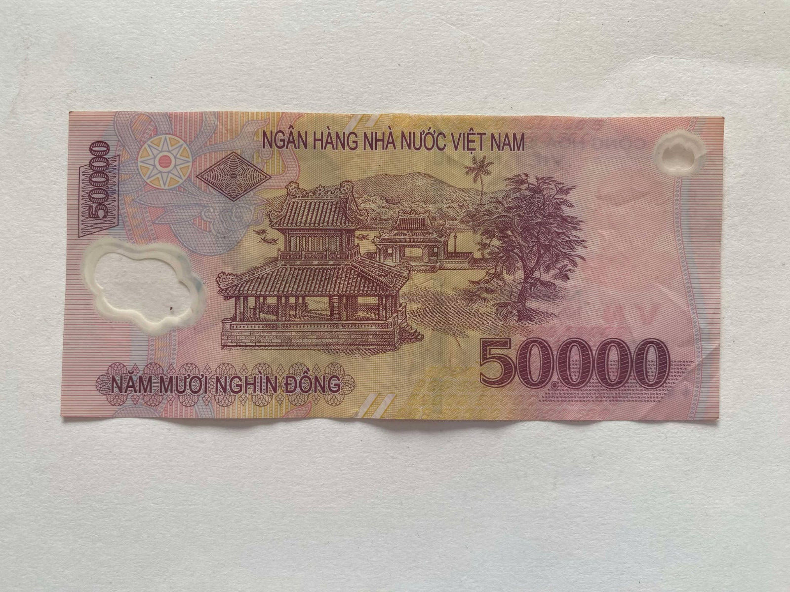 50.000 Vietnam Dong VND CIRCULATED Banknote Currency Polymer Banknot EQ 12547034