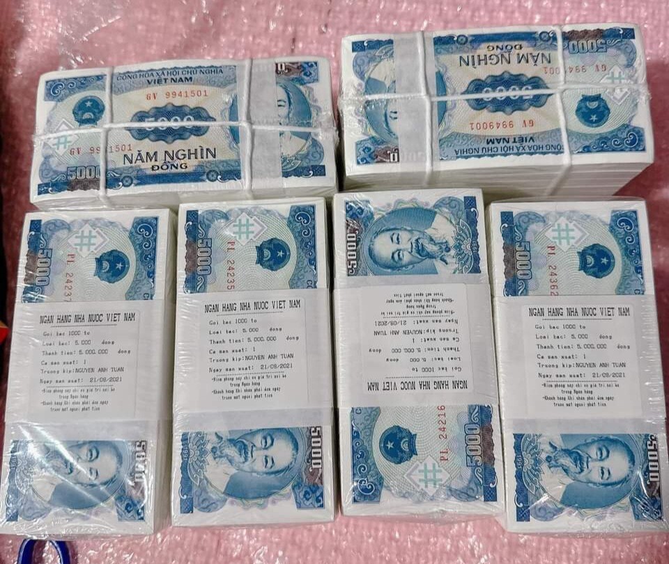 100 Pcs Vietnam Banknotes 5000 VND 5,000 Dong 1991 UNC P-108 Vietnamese Money