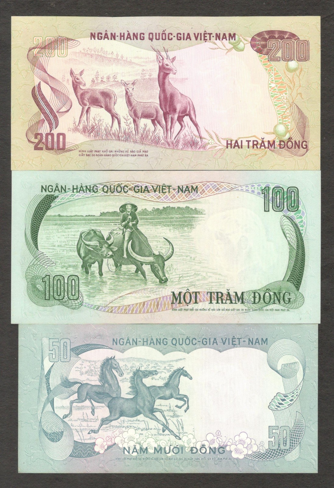 Vietnam South Full Set 5 Pcs 50 100 200 500 1000 Dong P-30 to 34 1972 1975 UNC