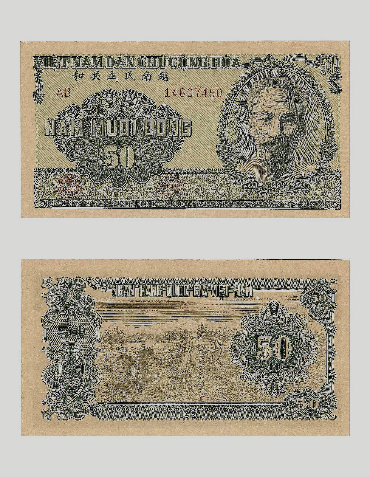 VIETNAM 50 DONG P-61a 1951 x 1 Pcs AUNC HO CHI MINH FARMERS VIETNAMESE Rare NOTE