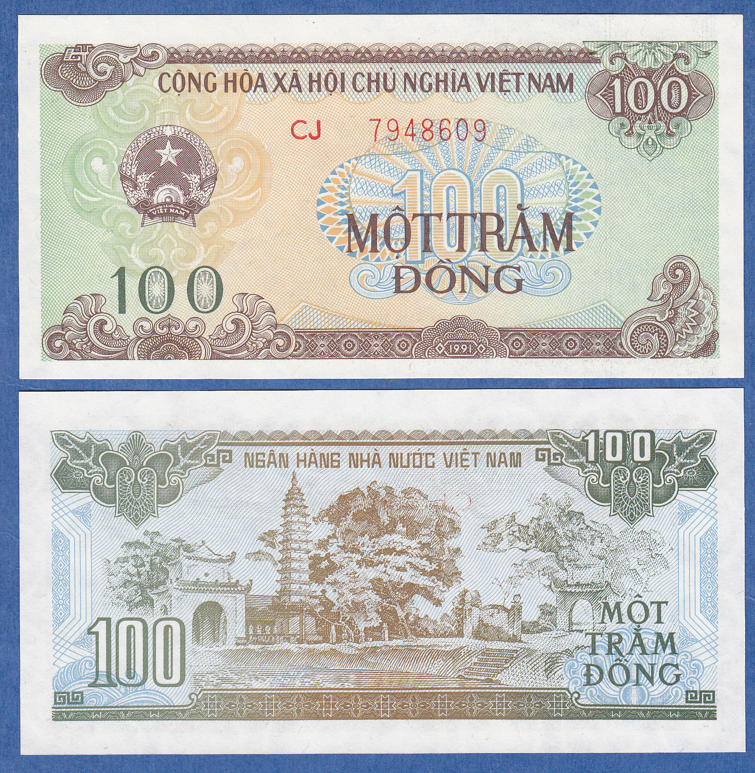 Vietnam 100 Dong, P 105b, 1991 UNC Viet Nam ( P 105 b )