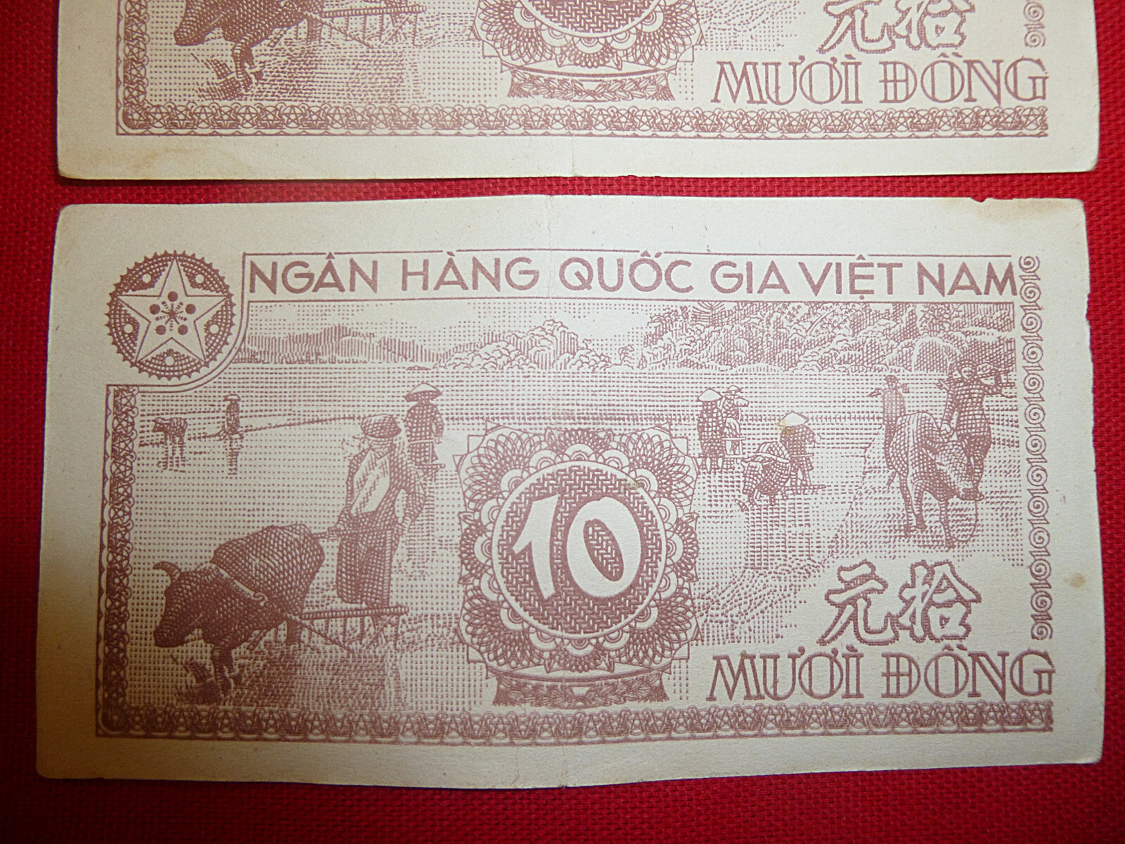 3 x CONSECUTIVE – 1951 NORTH VIETNAM – Viet Minh – Bank Note – 10 DONG – in safe