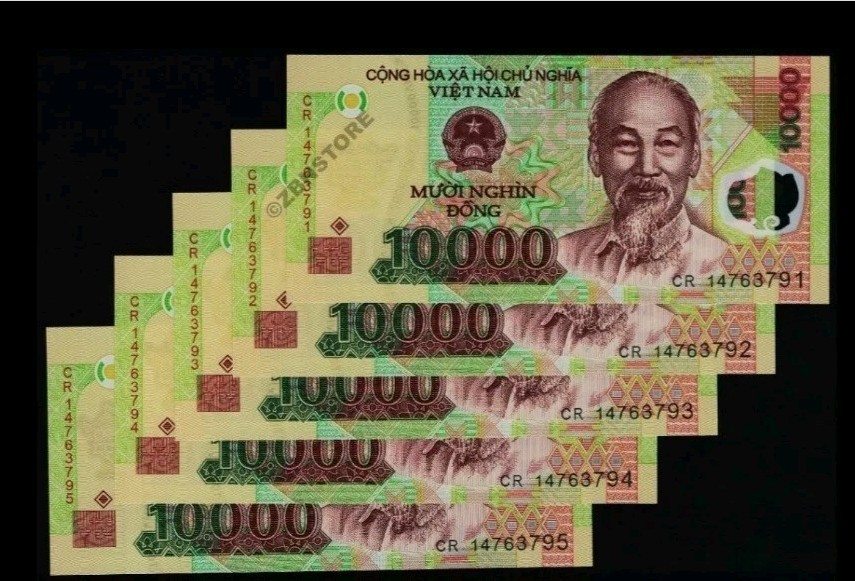 10 x 10,000 Vietnam Dong Polymer Banknotes Uncirculated 10PCS UNC Free Shipping