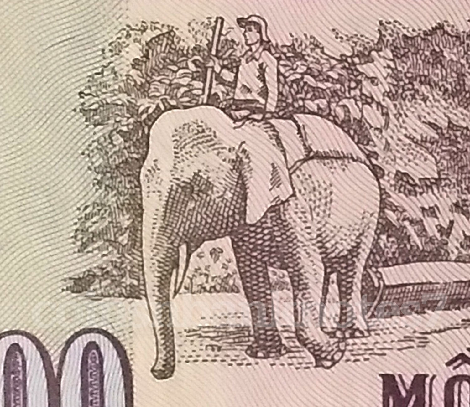 1988 Viet Nam 1000 Dong Banknote. P106 Uncirculated / Elephant