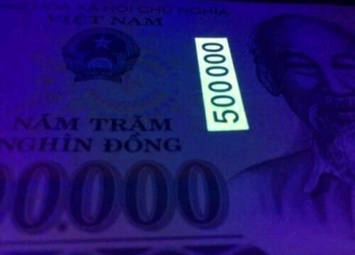 10 Million Vietnasese Dong $500,000 x 20 notes. VDN POLYMER Uncirculated