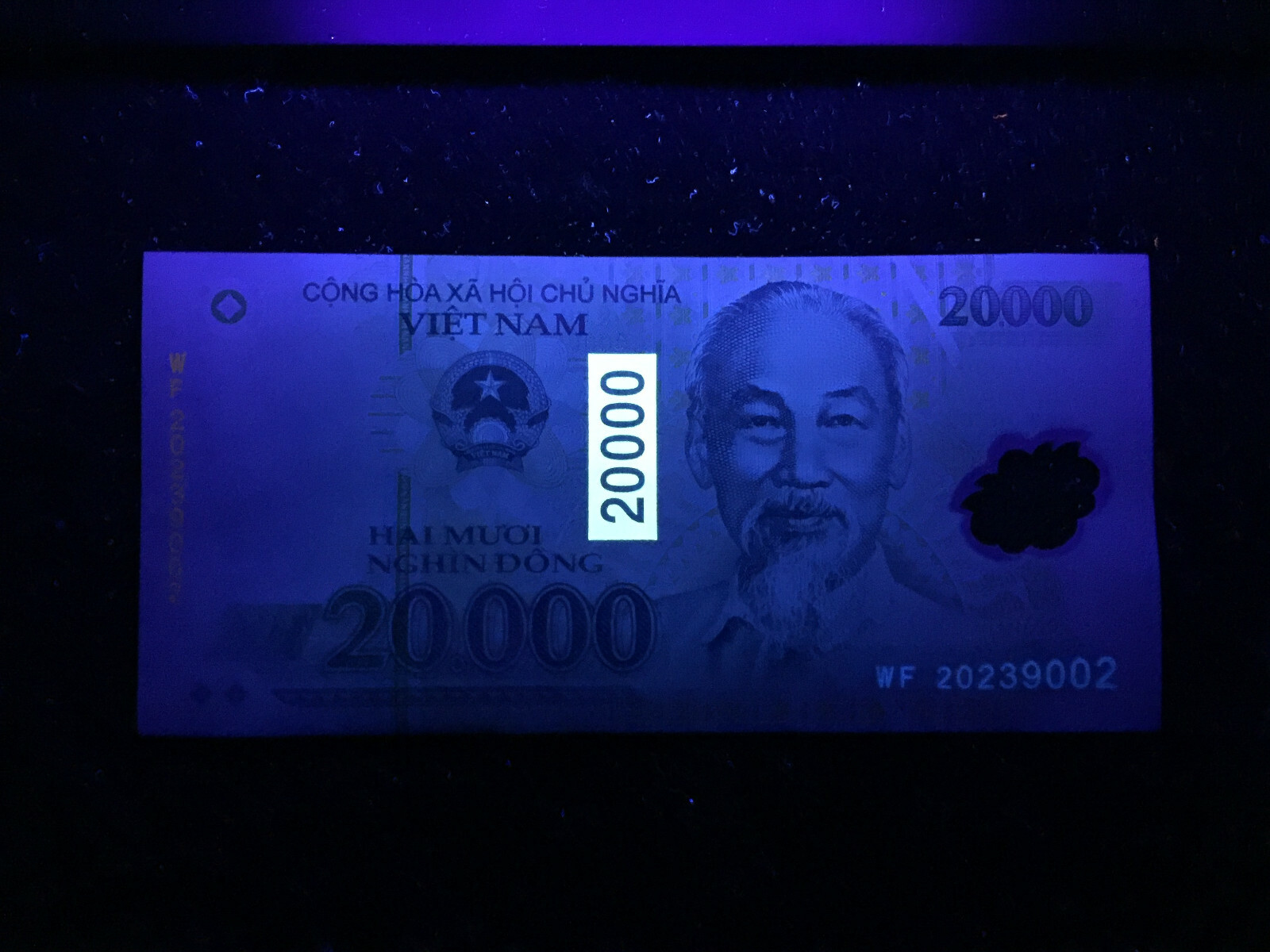 VIETNAM 20000 Dong Year 2019 Polymer Banknote World Paper Money UNC Currency