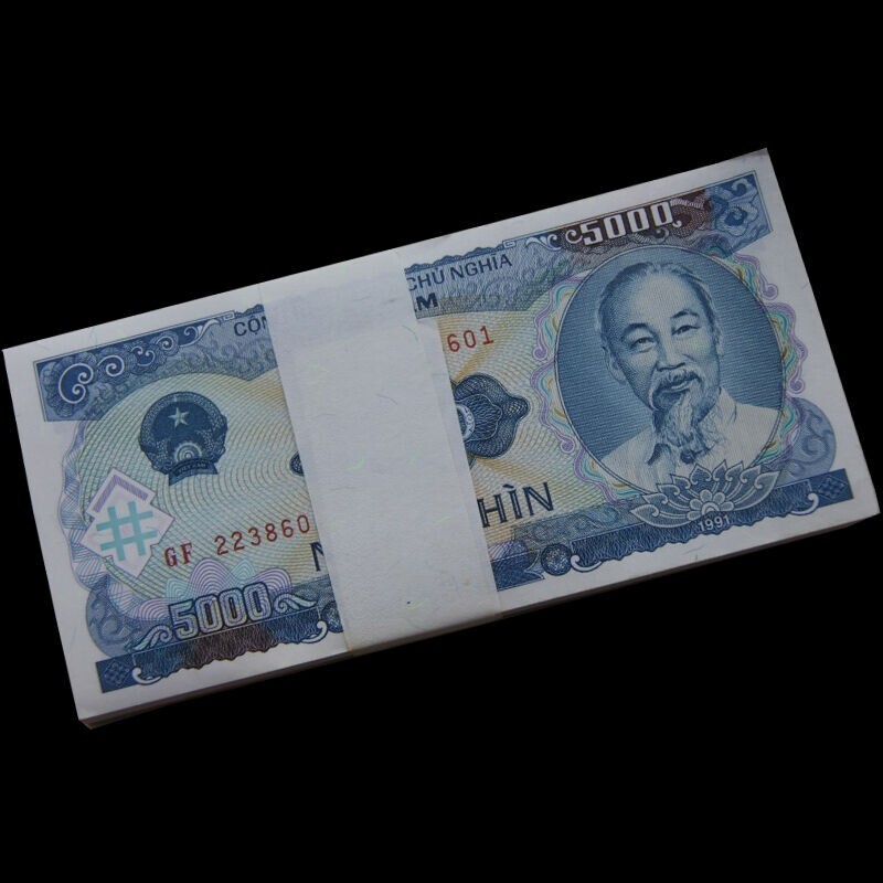 1 Bundle 100 pcs Vietnam Currency 5000 Dong Dollar VND 1991 P 108 Polymer UNC