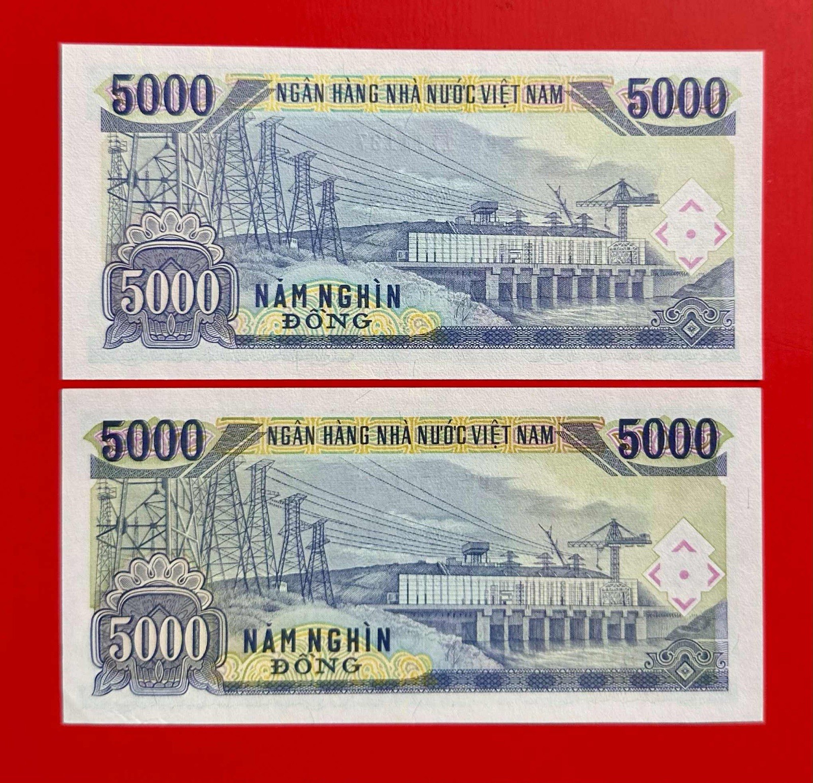 Duplicate Binary Serie Number Error 5000 Đồng 1991 Gem UNC Rare_LDP Shop.