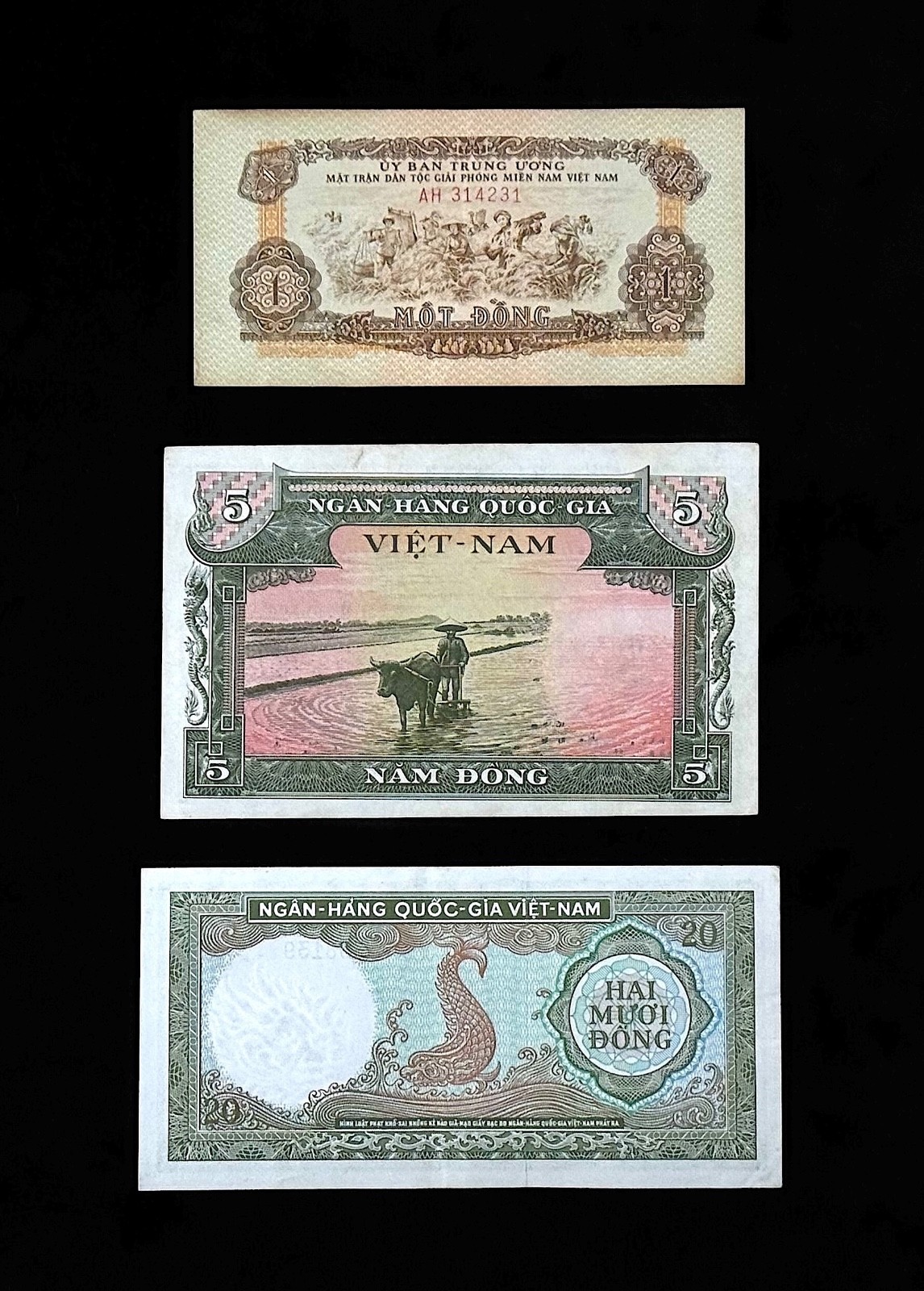 OLD Vietnam Banknote LOT * 1955-1964 ** Vietnamese 1 5 20 DONG Banknotes MIXED