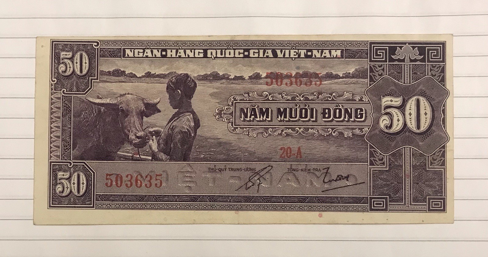 Vietnam 50 Dong 1956 P-7 VF