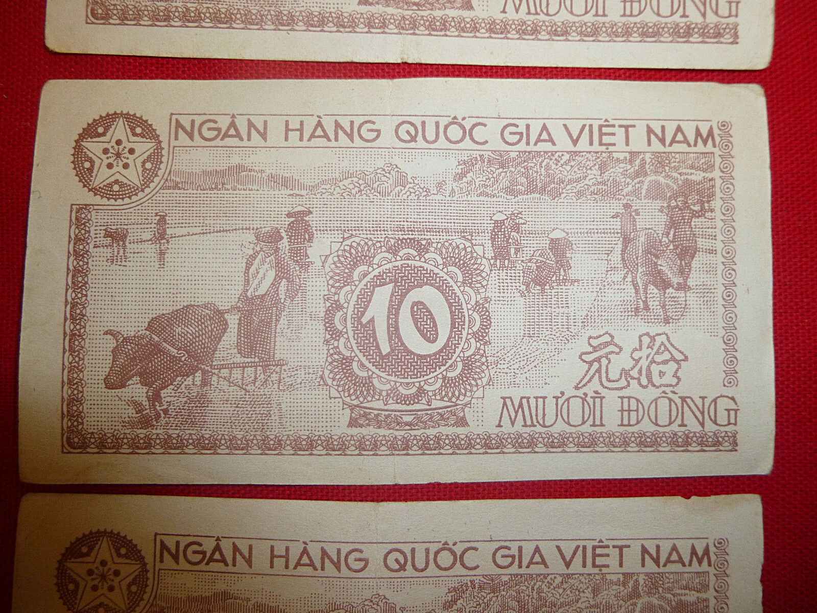 3 x CONSECUTIVE – 1951 NORTH VIETNAM – Viet Minh – Bank Note – 10 DONG – in safe