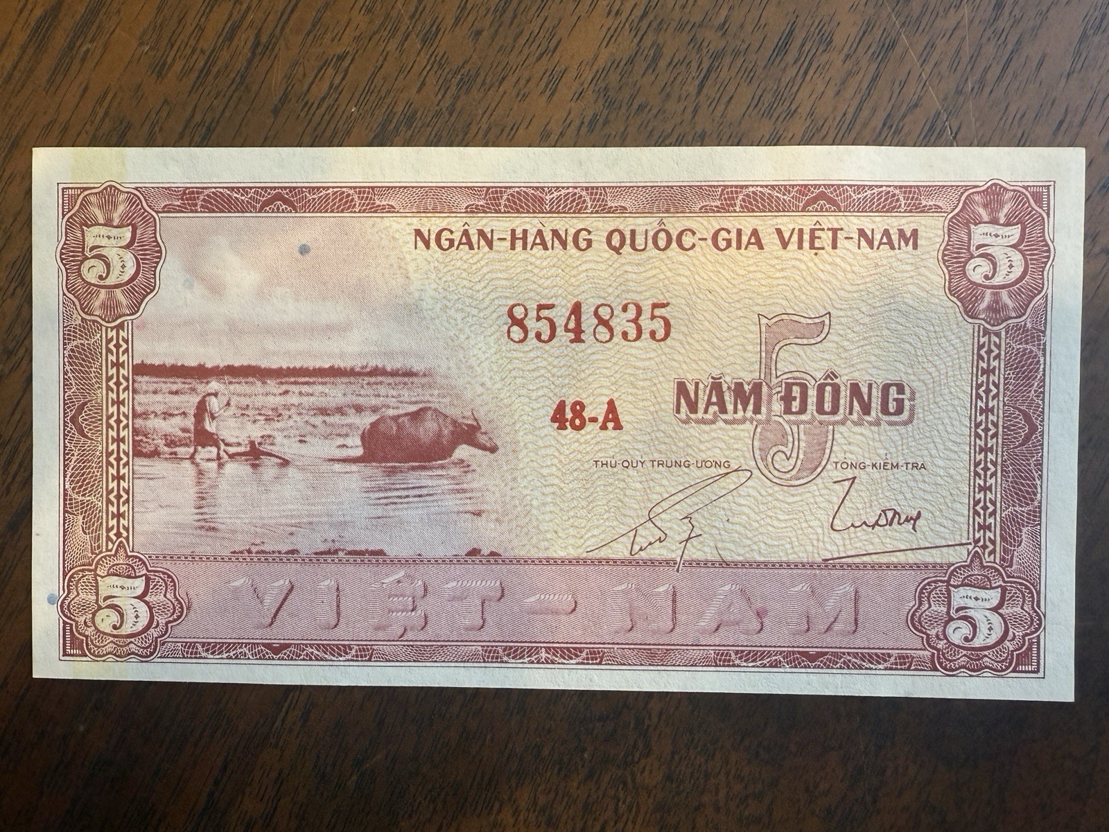 Lot Of 12 SOUTH VIETNAM 5 Dong 1955, P-13 National Bank, Crisp Uncirculated