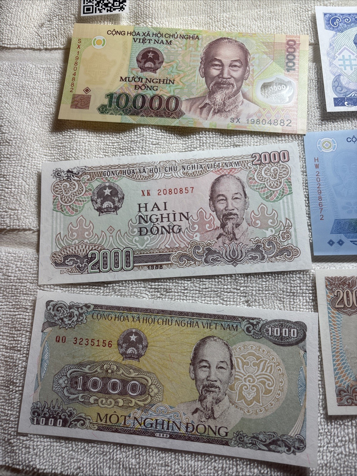 Seven (7) Notes Vietnam Dong – Vietnamese note foreign money Uncirculated