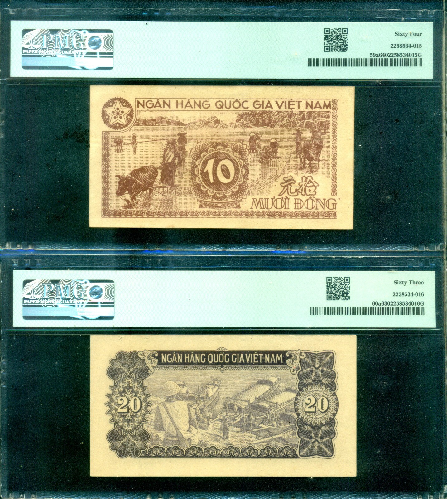 Vietnam North 1951 – Set of 9 notes PMG 40 to 64