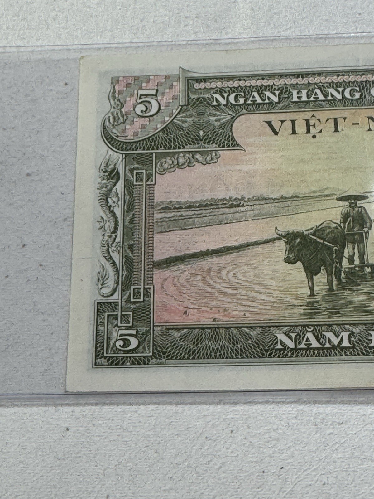 1955 Vietnam 5 Dong Banknote P# 2
