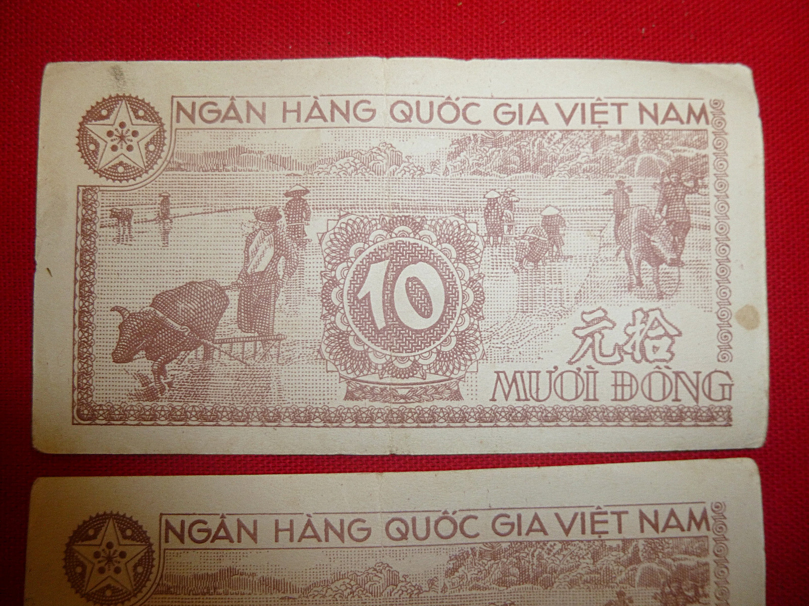 3 x CONSECUTIVE – 1951 NORTH VIETNAM – Viet Minh – Bank Note – 10 DONG – in safe