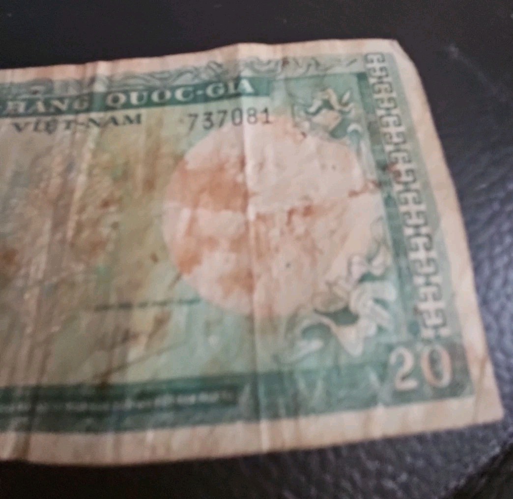 VIETNAM SOUTH 20 Dong 1964 National Bank Việt-Nam World Banknote Money h9139