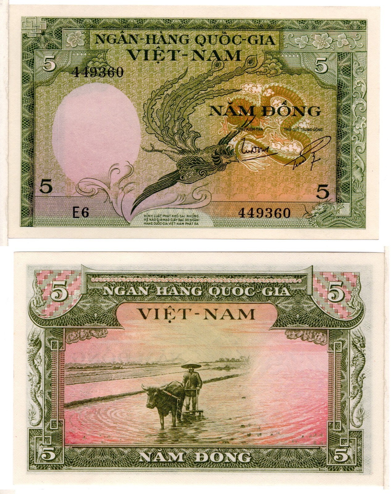 SOUTH VIETNAM 5 Dong (1955) Pick 2, Uncirculated