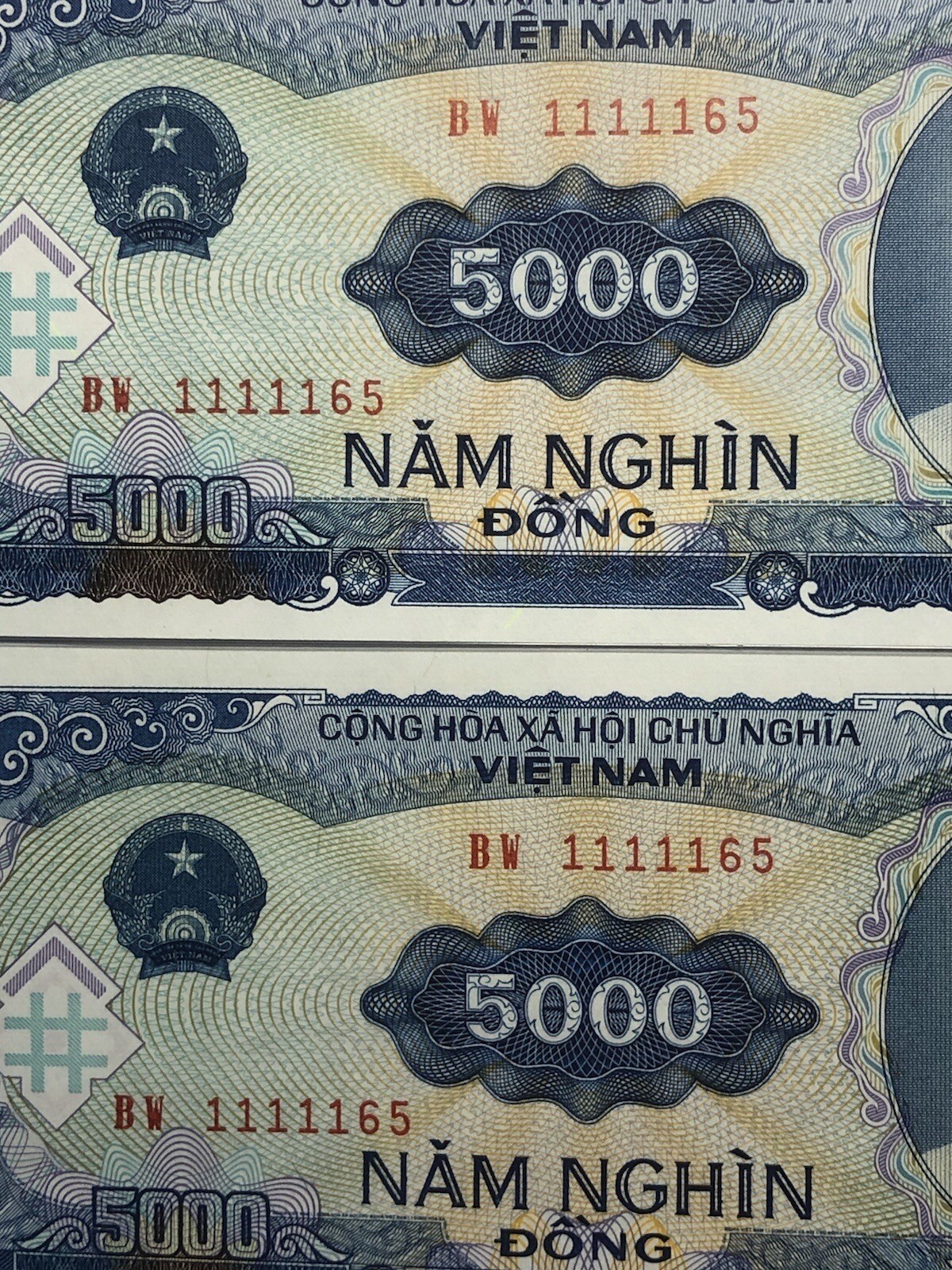 Duplicate Binary Serie Number Error 5000 Đồng 1991 Gem UNC Rare_LDP Shop.