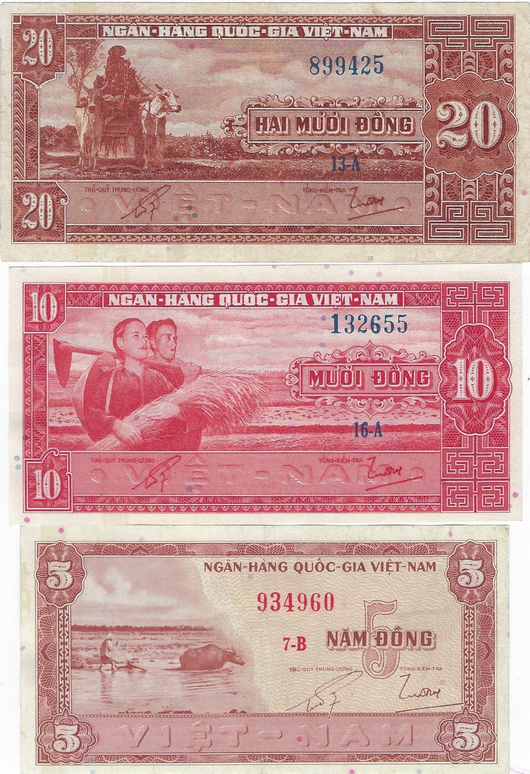 Vietnam South 1, 2, 5, 10, 20 Dong 1964 Banknotes – AU Set of 5 + Gift! V6