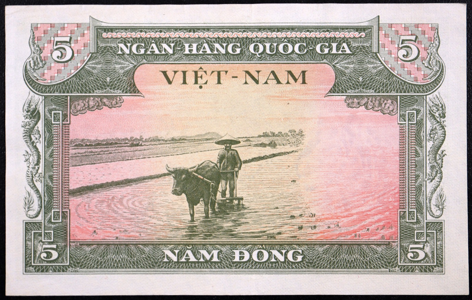 SOUTH VIETNAM 1955 2 Dong Banknote AUNC P-2 Water Buffalo