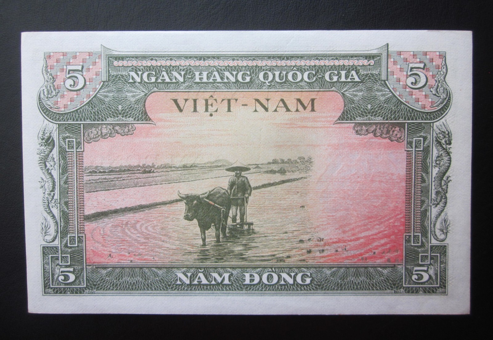 SOUTH VIETNAM 5 DONG 1955 UNC BANKNOTE Old Viet Nam P-2a Uncirculated note