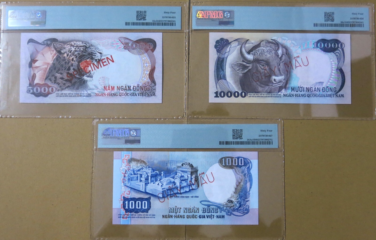 Vietnam 1975 Trio of Specimen 1000 – 5000 & 10,000 Dong P 34, 35 & 36s1 PMG 64