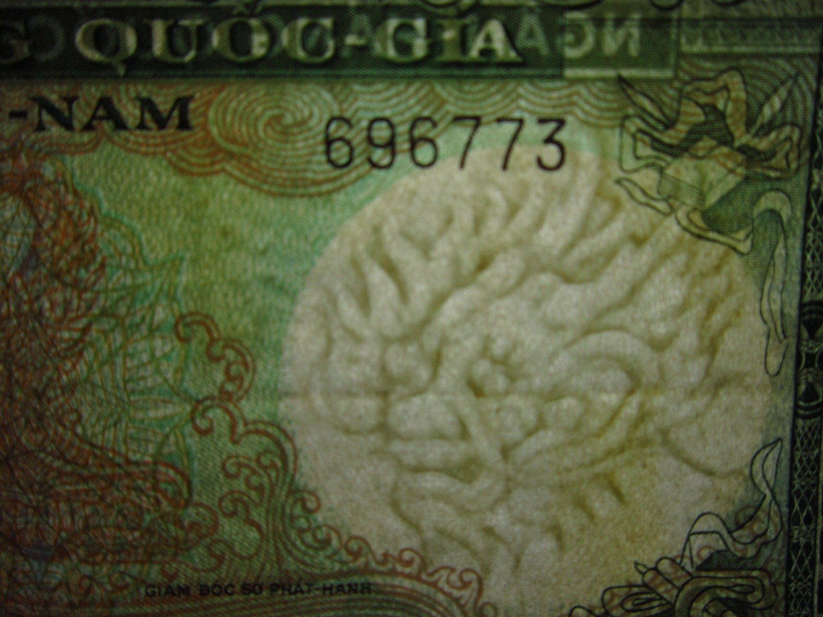 South Vietnam 20 Dong ND 1964 P16 Demon Dragon i6673 National Bank Việt Nam