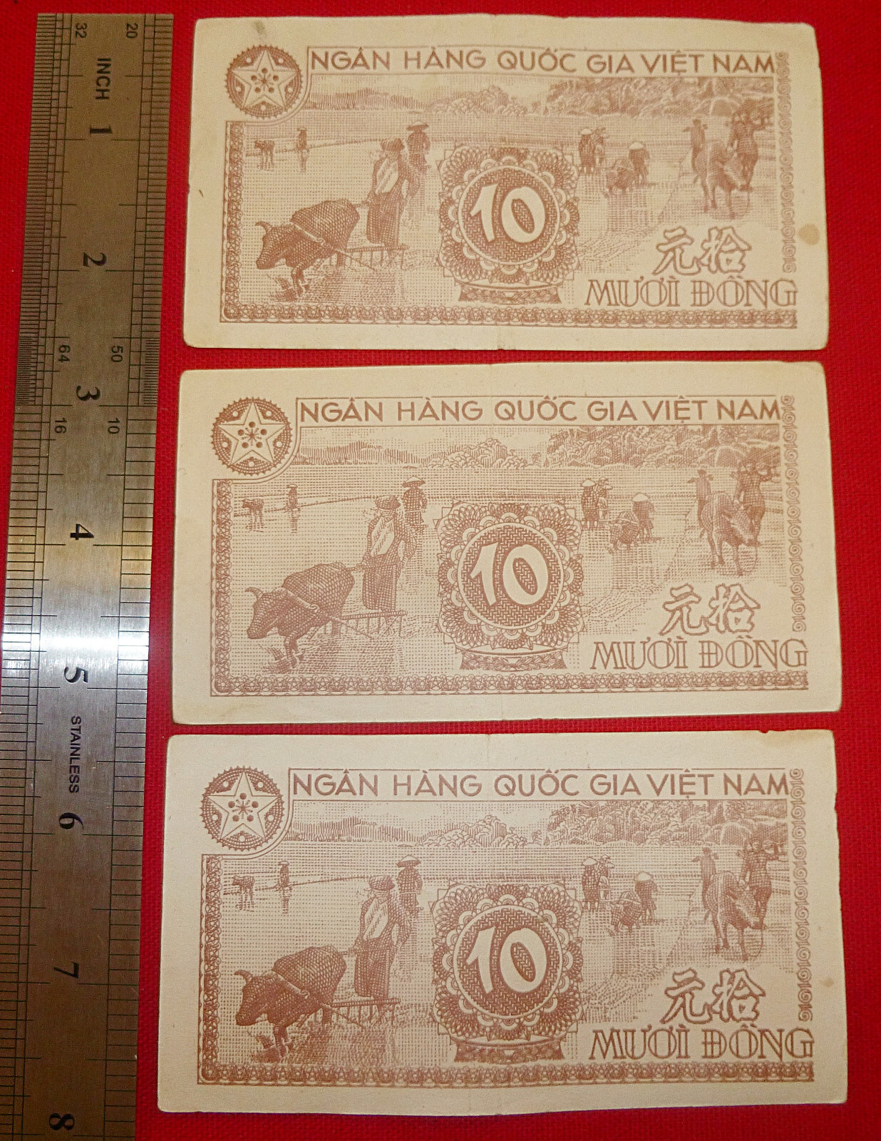 3 x CONSECUTIVE – 1951 NORTH VIETNAM – Viet Minh – Bank Note – 10 DONG – in safe