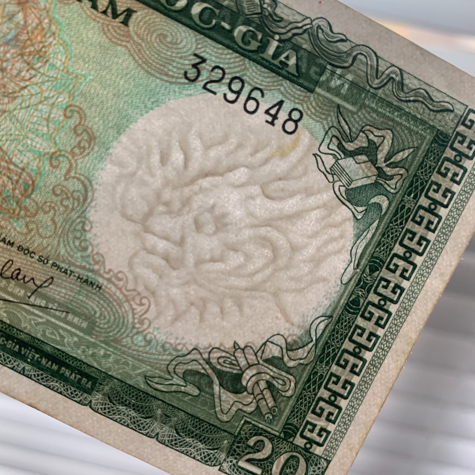 Dragon Watermark 1964 Vietnam 20 Twenty Dong Bank Note World Paper Currency