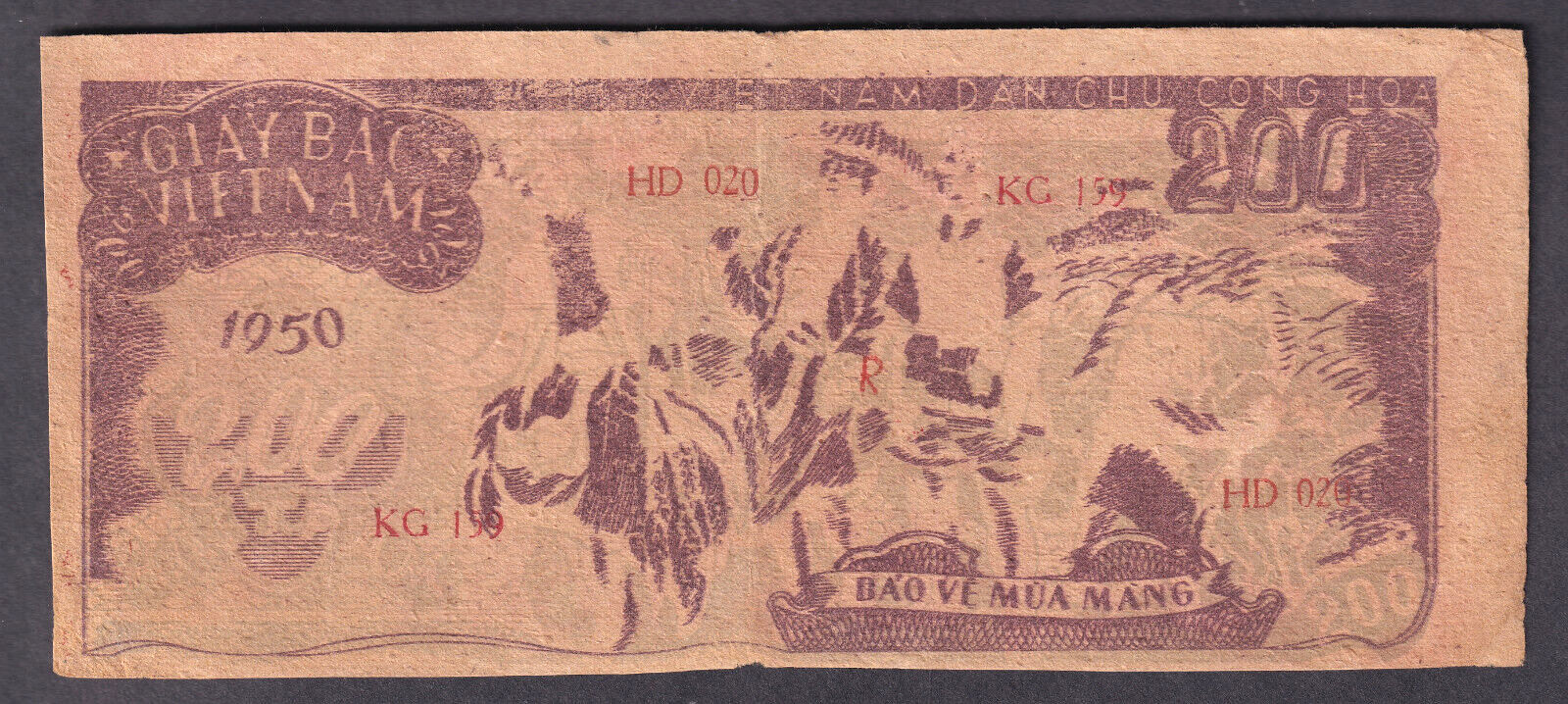 Vietnam P-34.. 1950 200 Dong.. EF