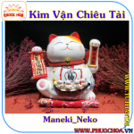 kim vận chiêu tài